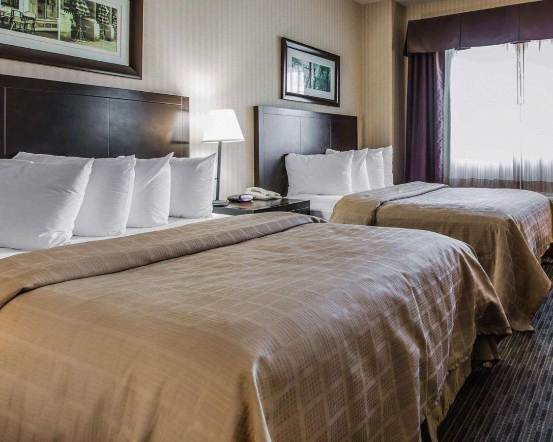 Accessible Suite, 2 Queen Beds, Roll-In Shower, Non Smoking at Quality Inn Rosemead - Los Angeles