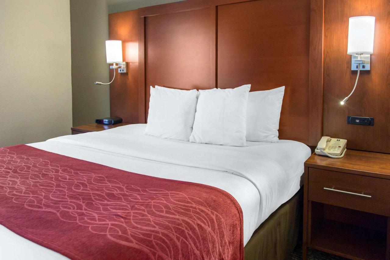 King Suite - Disability Access at Comfort Inn and Suites San Francisco Airport North