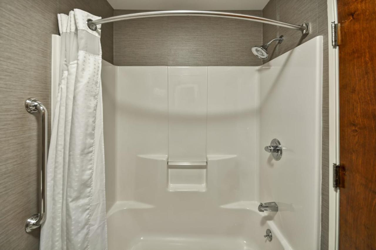 Standard Room at Holiday Inn Express Romulus / Detroit Airport by IHG