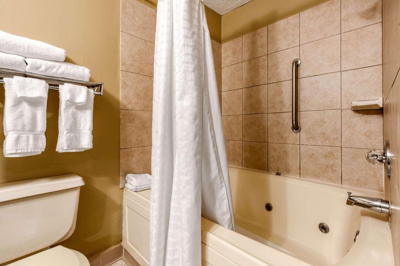 Suite, King Bed with Whirlpool and Sofa Bed at Quality Inn & Suites New Castle