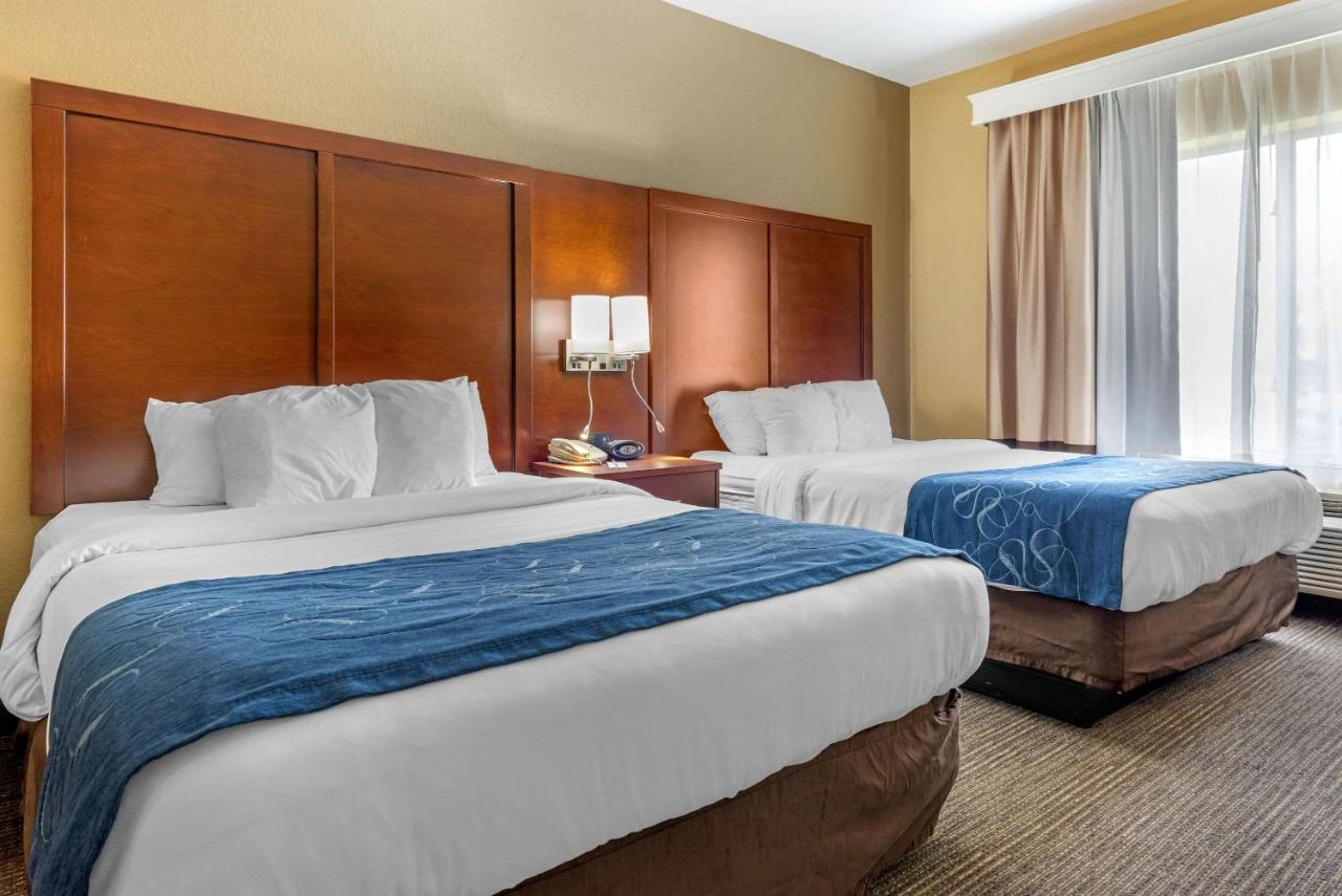 Queen Suite with Two Queen Beds and Sofa Bed - Non-Smoking at Comfort Suites Findlay I-75 near Sports Complex