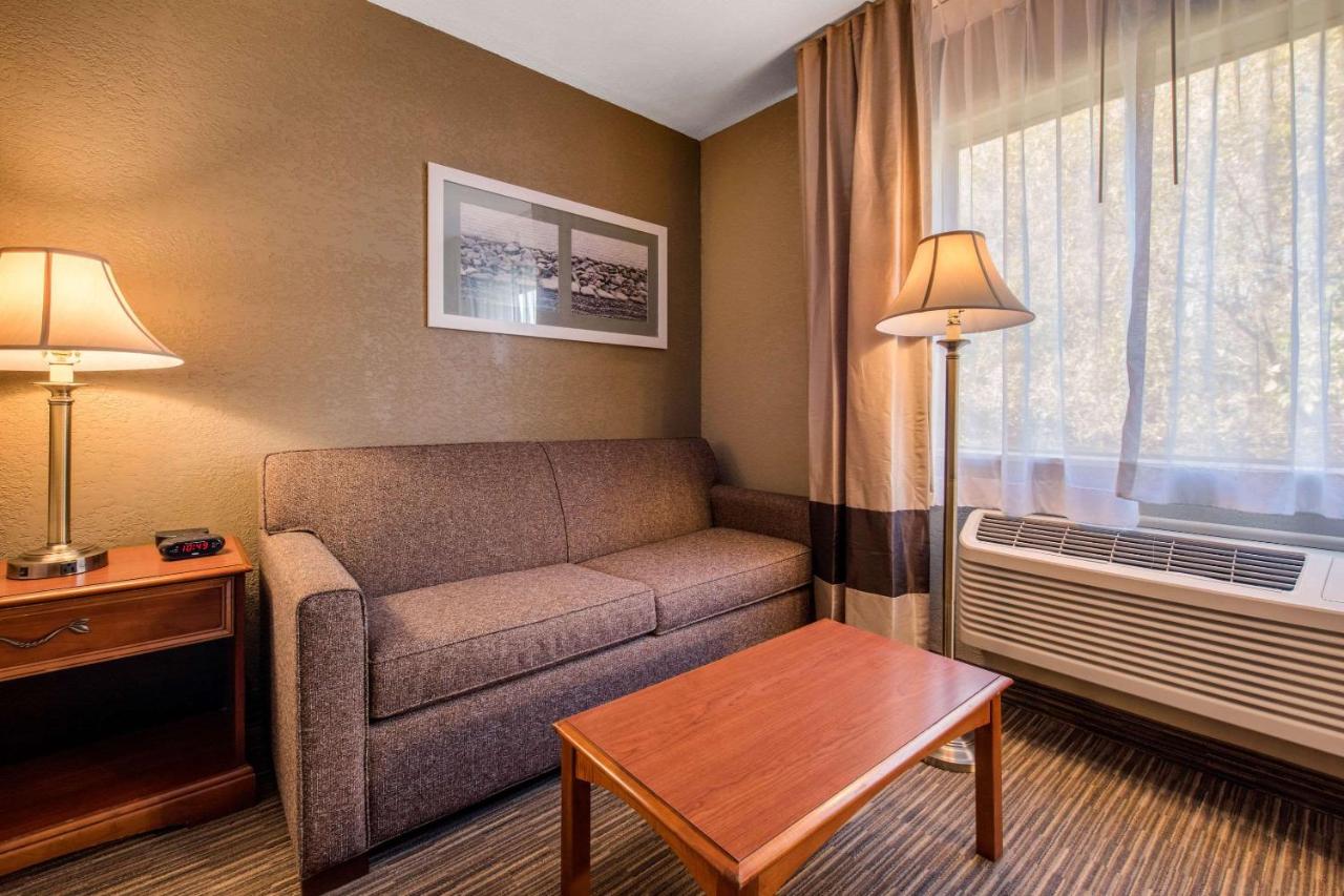 Suite, King Bed with Whirlpool and Sofa Bed at Quality Inn & Suites New Castle