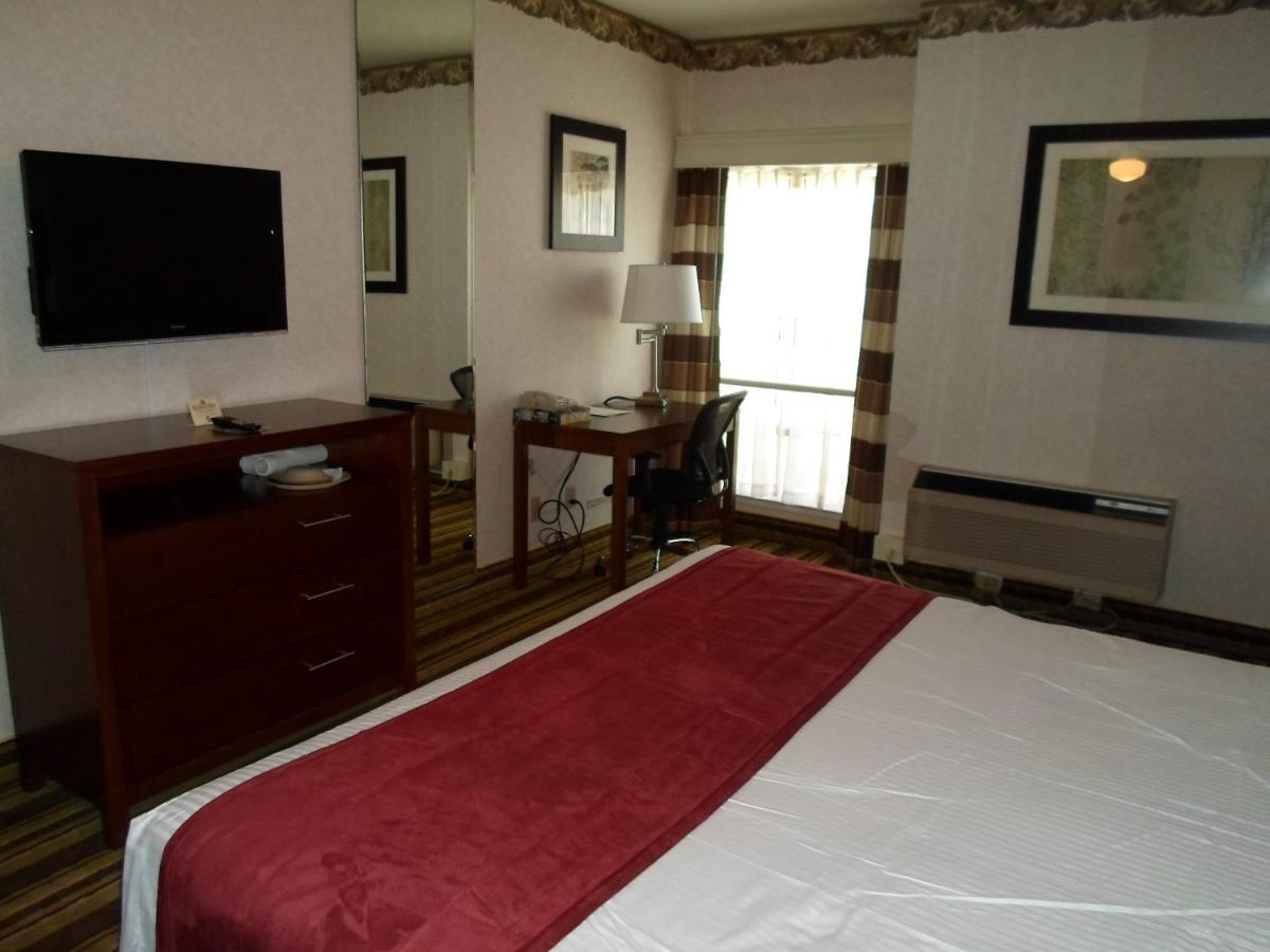 Deluxe Suite at Arena Hotel