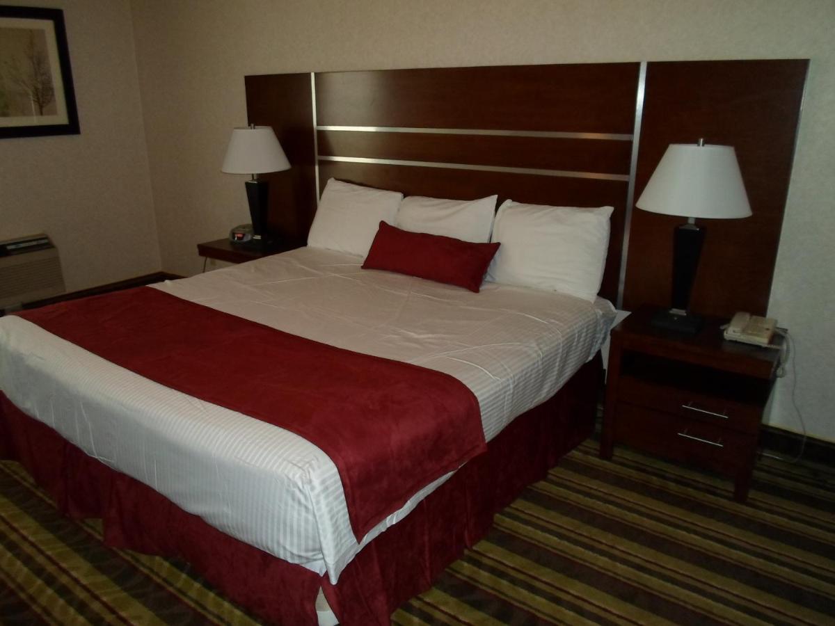 Deluxe Suite at Arena Hotel