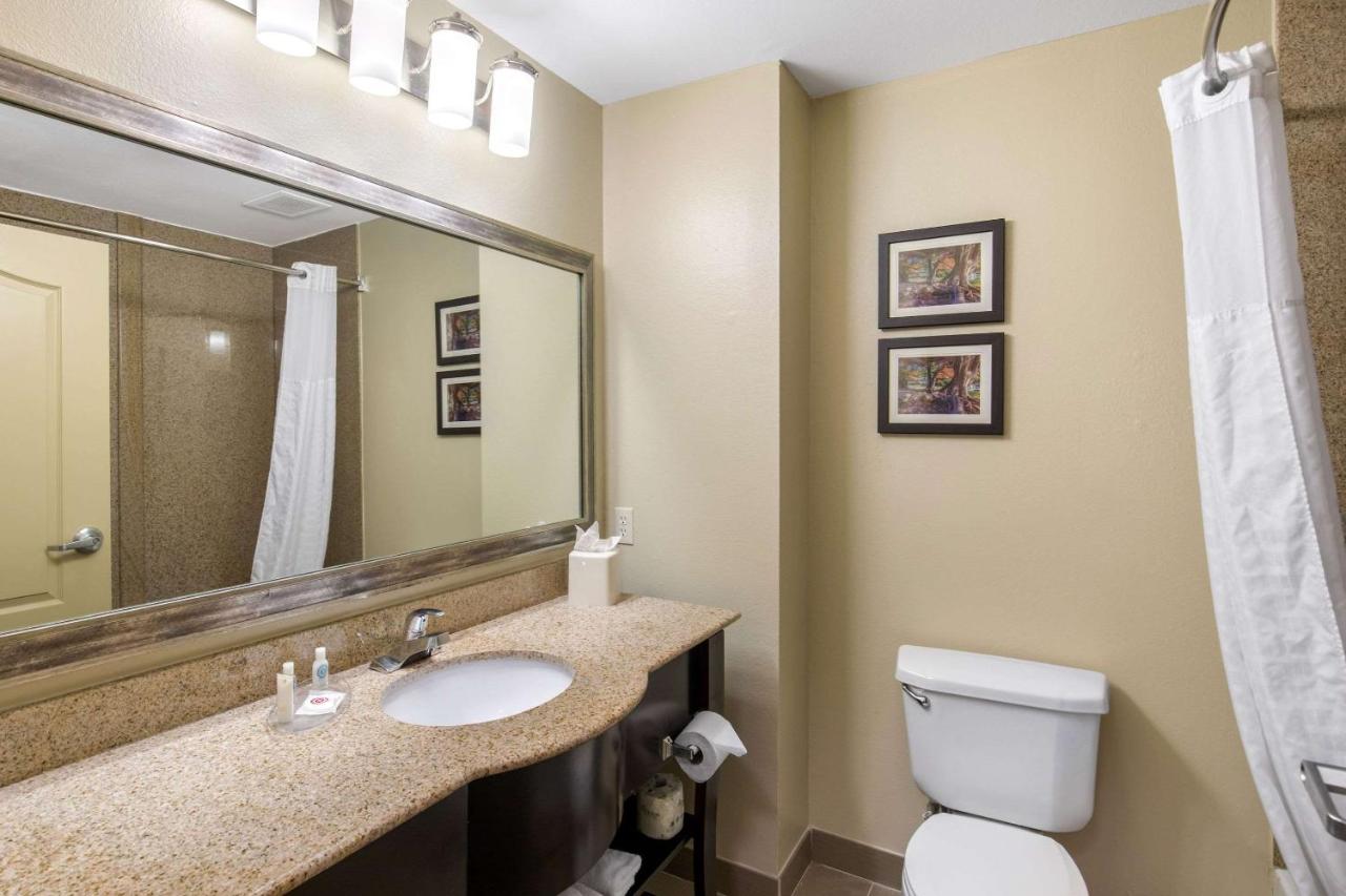 King Suite - Non-Smoking at Comfort Inn & Suites Cedar Hill Duncanville
