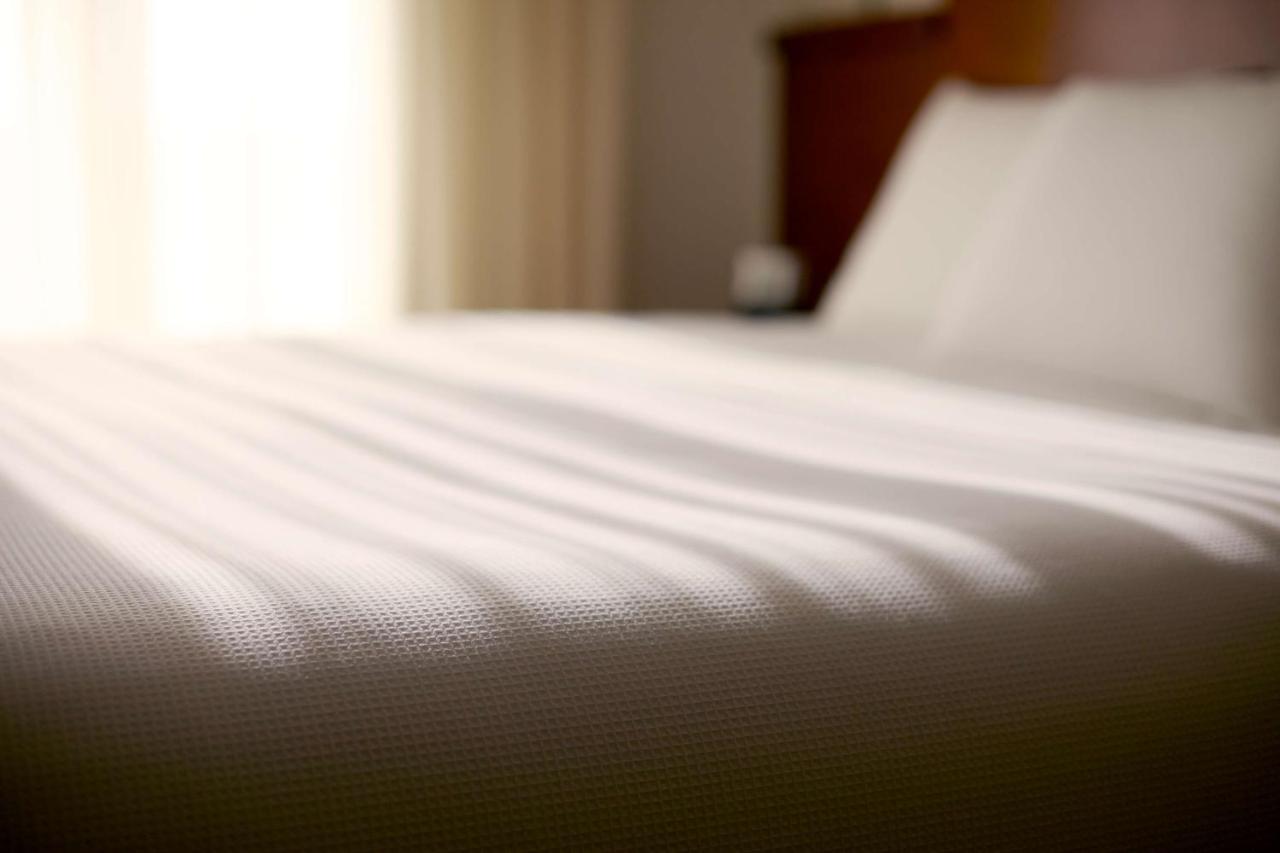 King Room - Disability Access at Hyatt Place Detroit Royal Oak