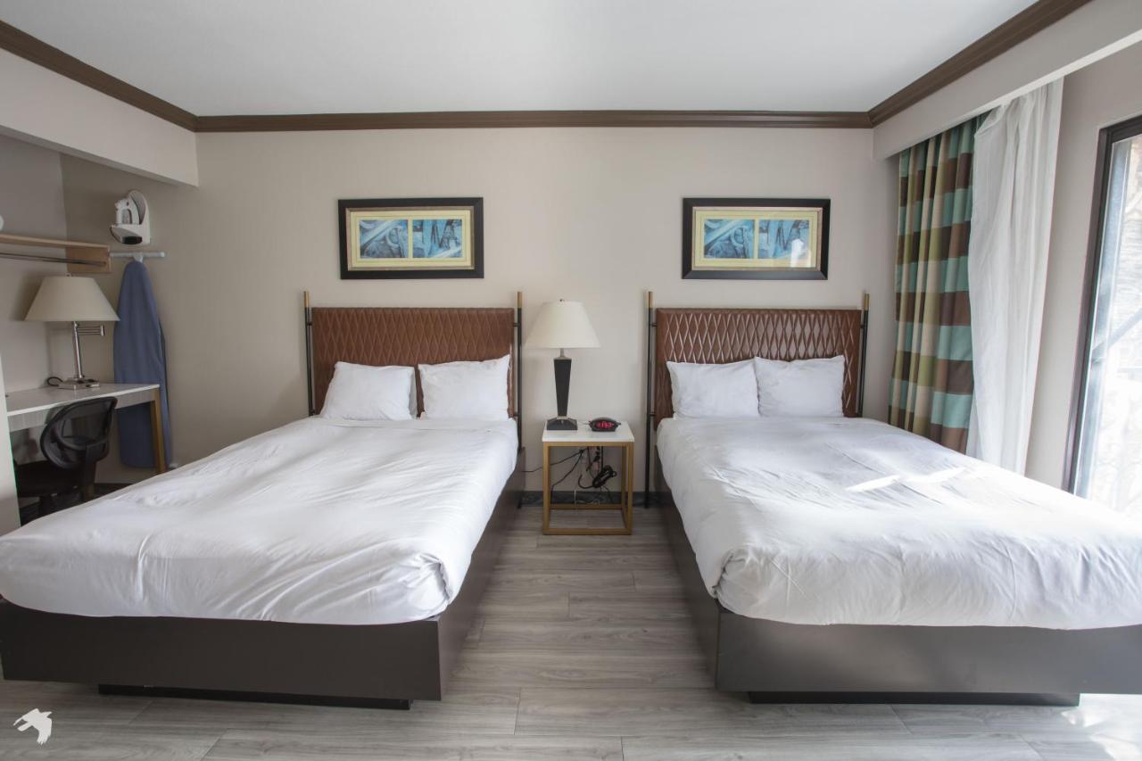 Standard Double Suite with Two Double Beds at Vanllee Hotel and Suites