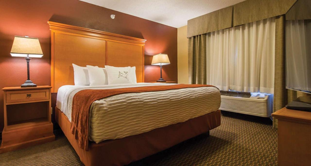 One-Bedroom King Suite at Best Western Plus Deer Park Hotel & Suites