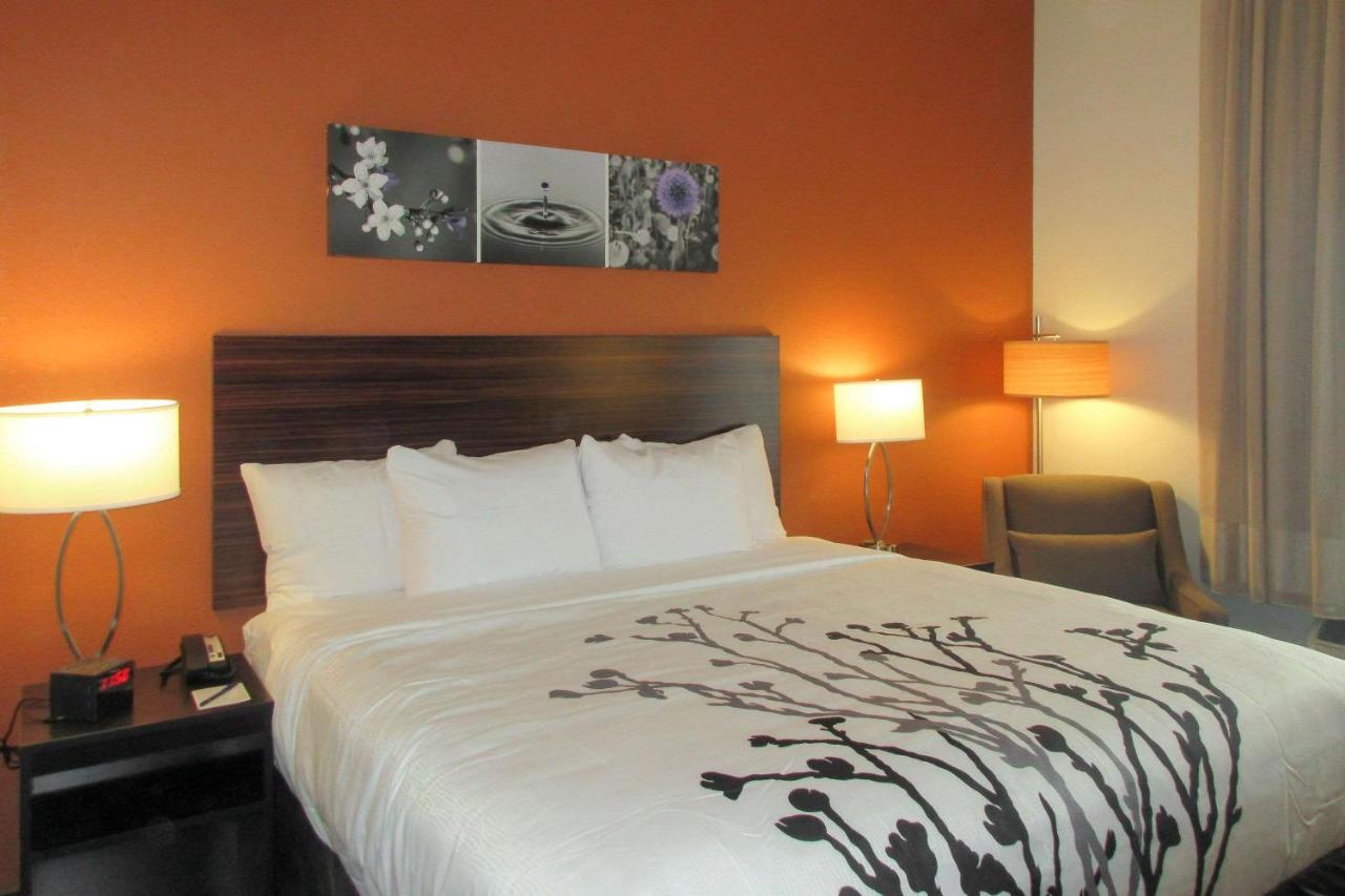 King Room - Non-Smoking at Sleep Inn & Suites Oregon - Madison