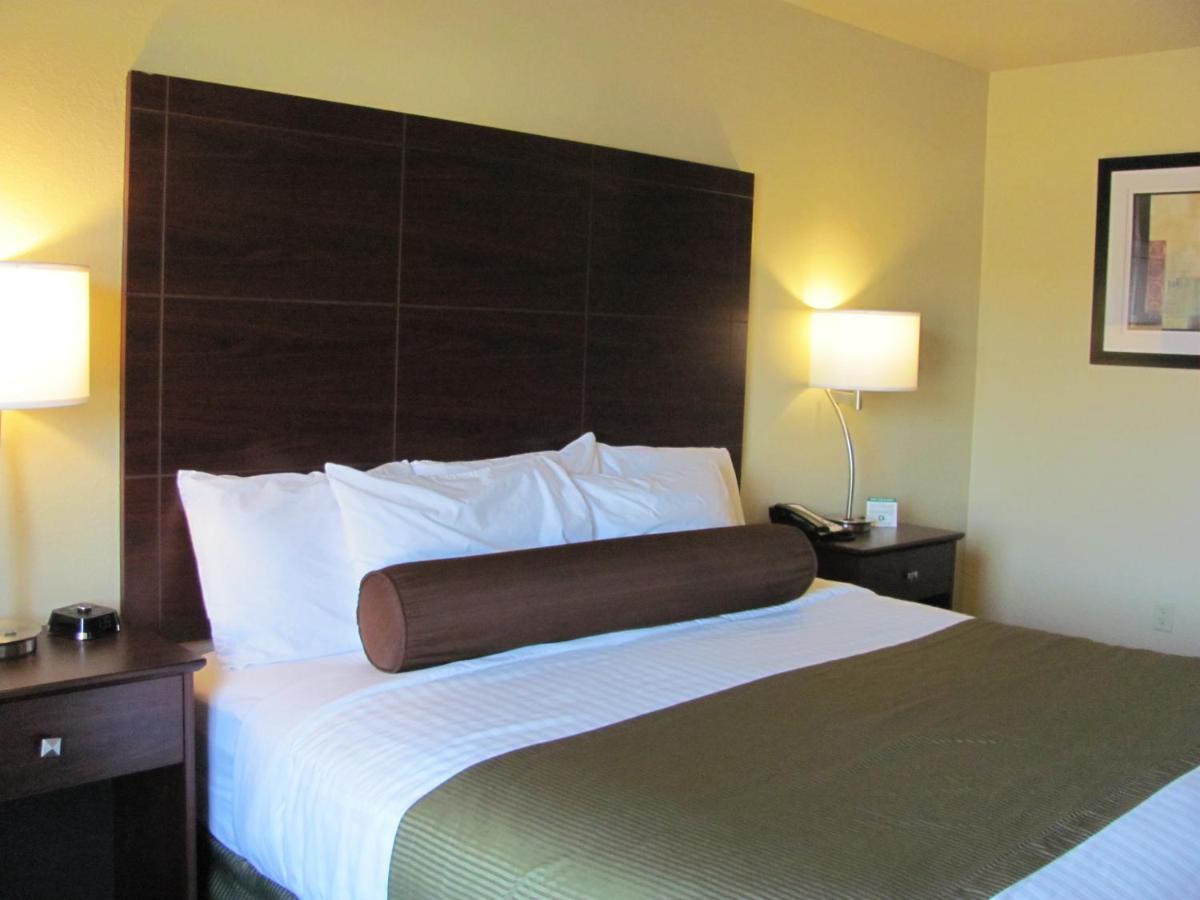 Single Room - Disability Access at Cobblestone Inn & Suites - Ambridge
