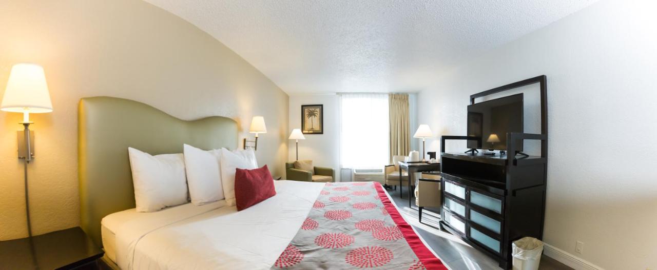 Comfort King Room at Plaza Hotel Fort Lauderdale