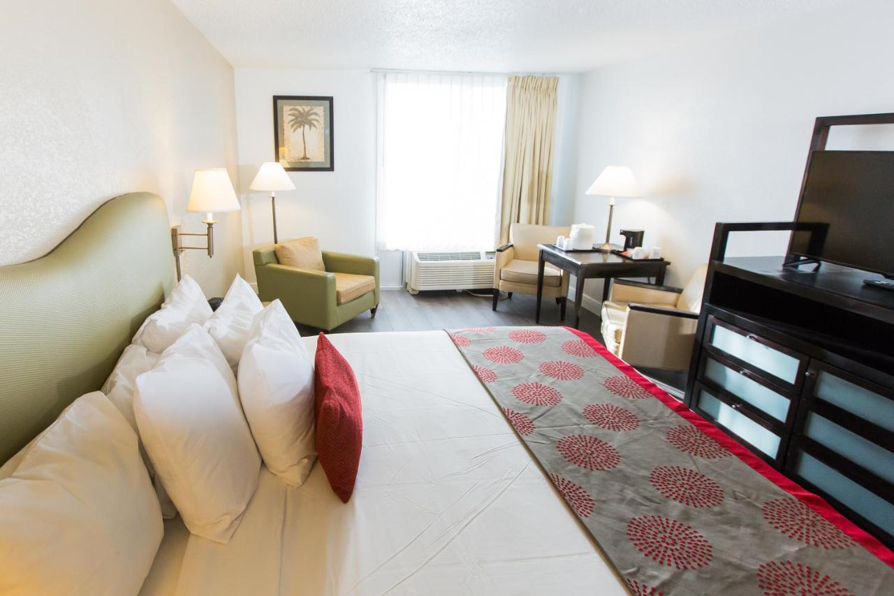 Comfort King Room at Plaza Hotel Fort Lauderdale