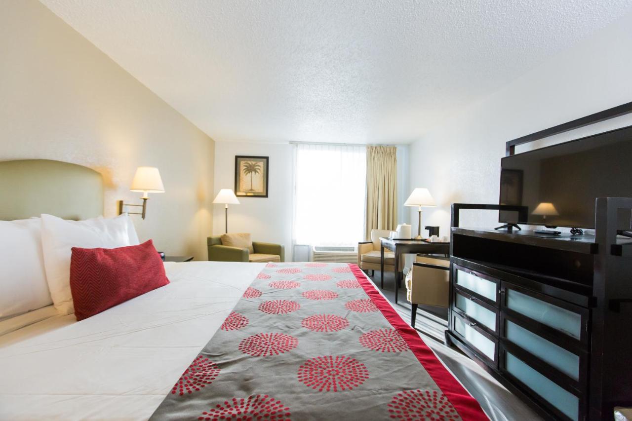Comfort King Room at Plaza Hotel Fort Lauderdale