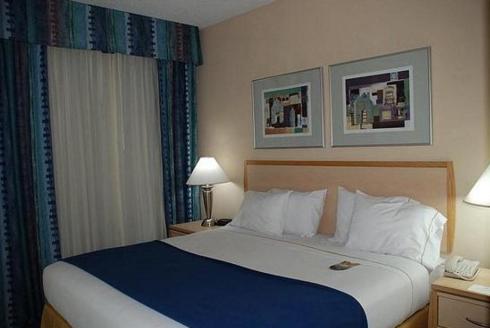 King Suite with Roll-In Shower - Disability Access at Holiday Inn Express San Antonio Rivercenter Area by IHG