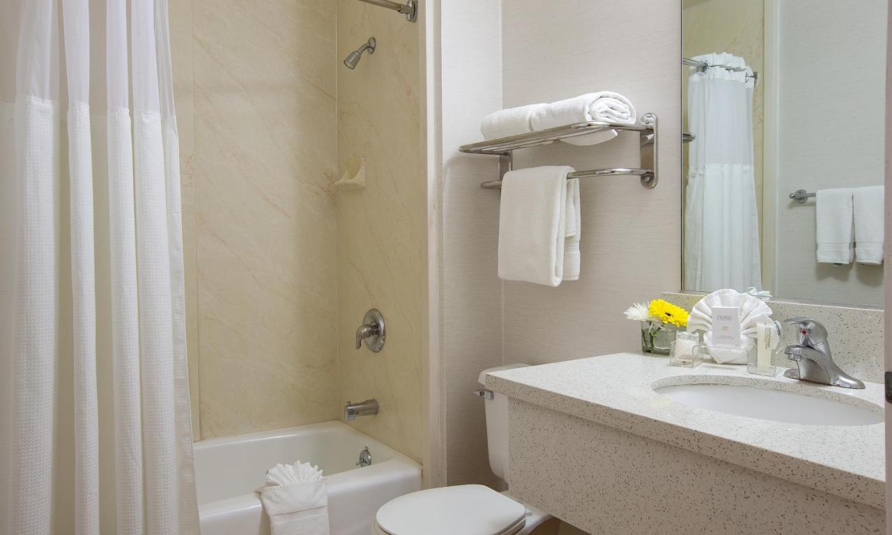 Standard Double Room at Safari Inn Burbank/Universal, a Coast Hotel