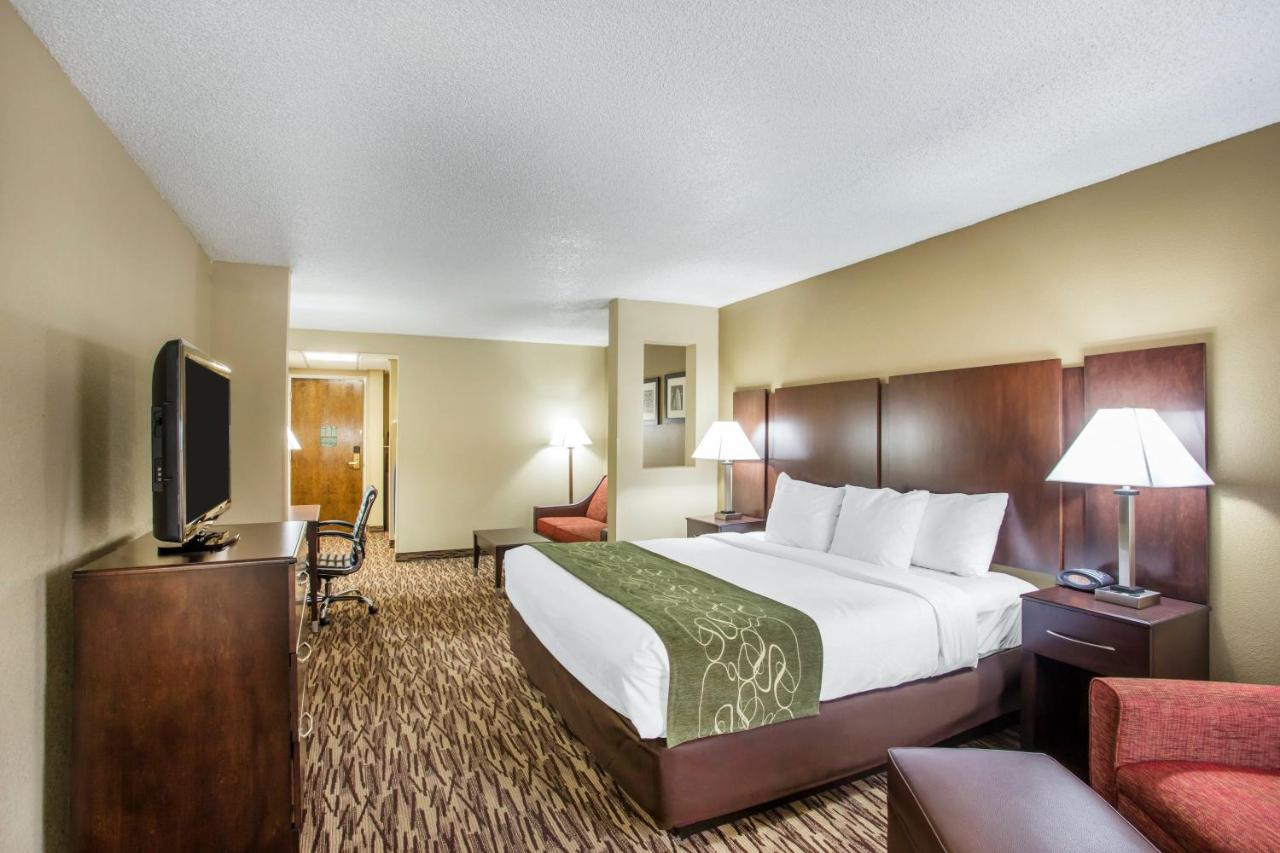 Standard King Room at Comfort Suites Lebanon