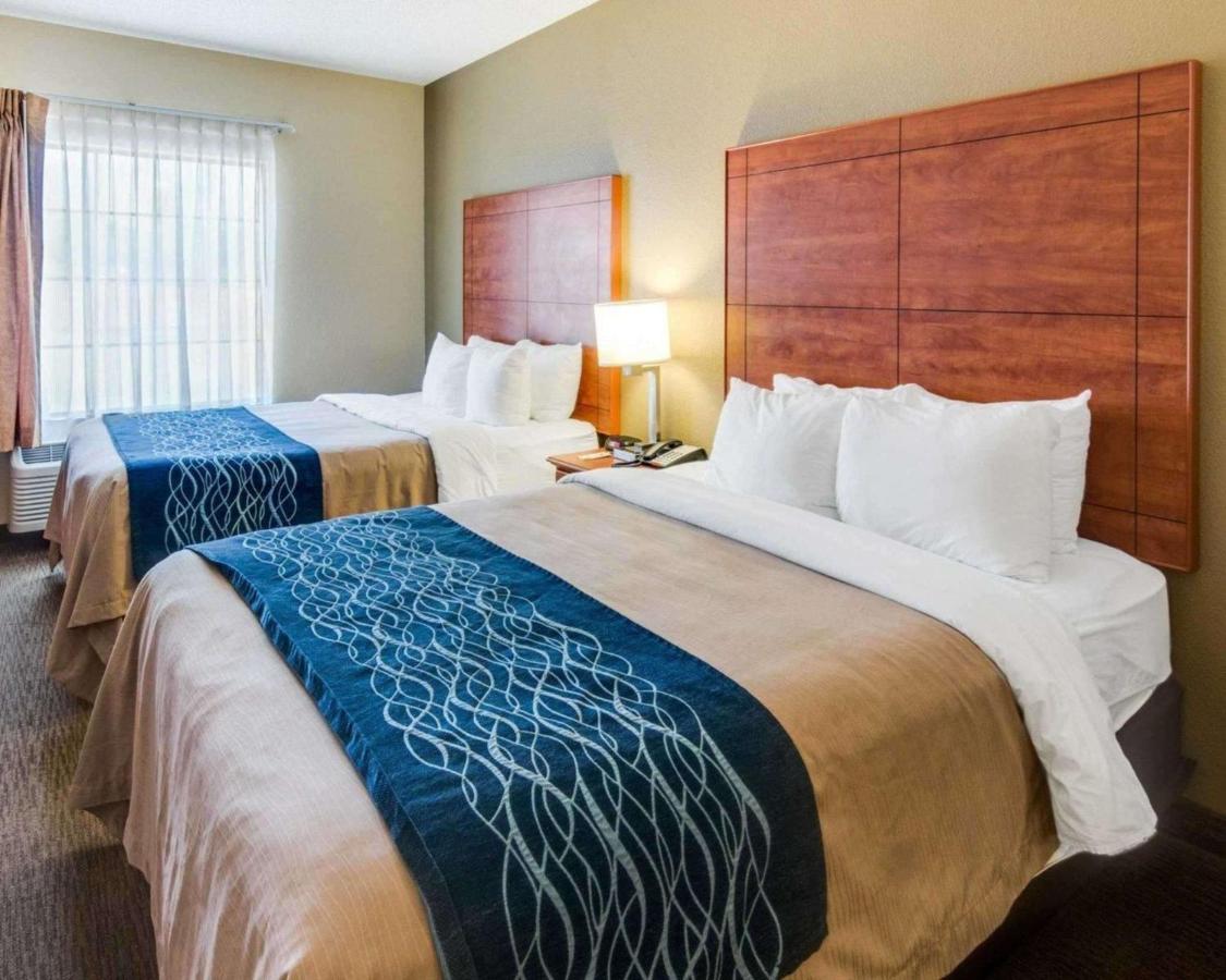 Queen Suite with Two Queen Beds - Non-Smoking at Comfort Inn & Suites El Dorado