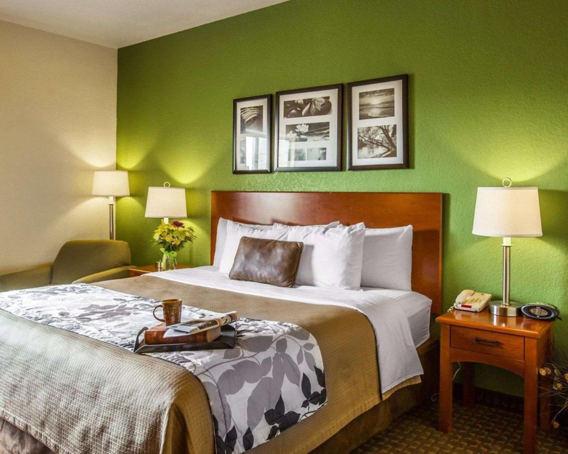 King Room - Non-Smoking at Sleep Inn & Suites Gonzales near Palmetto State Park