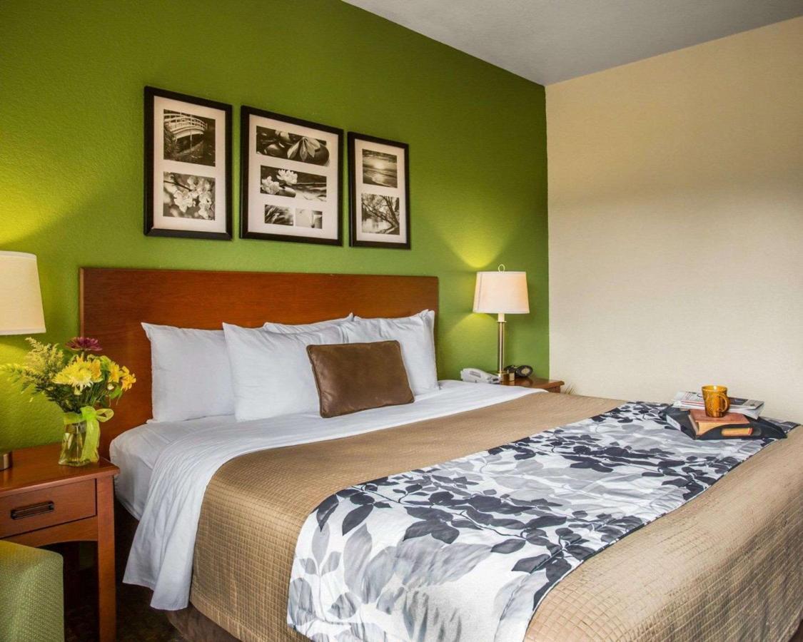 King Room - Non-Smoking at Sleep Inn & Suites Gonzales near Palmetto State Park