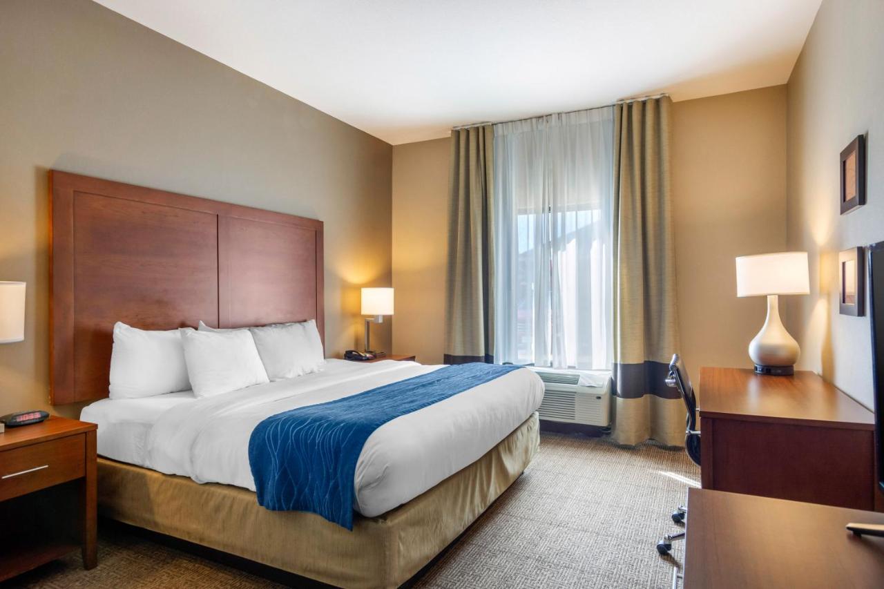 King Suite - Non-Smoking at Comfort Inn South Chesterfield - Colonial Heights