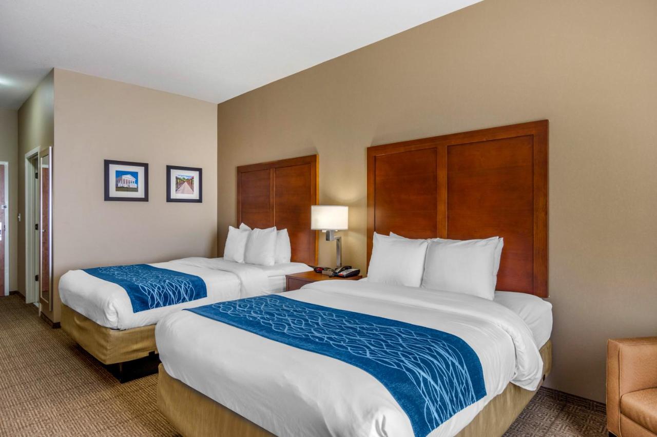 Queen Room with Two Queen Beds - Non-Smoking at Comfort Inn South Chesterfield - Colonial Heights