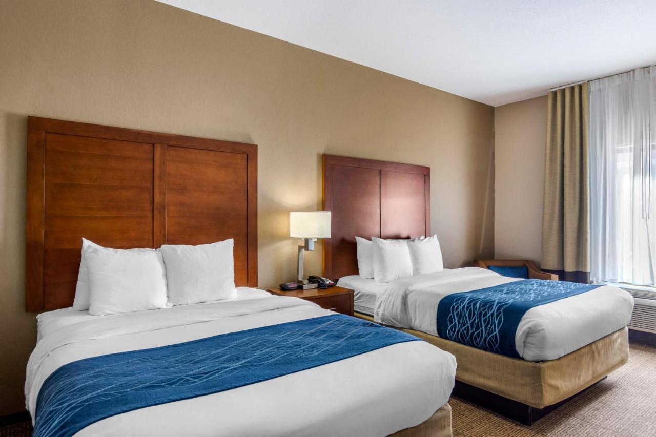 Queen Room with Two Queen Beds - Non-Smoking at Comfort Inn South Chesterfield - Colonial Heights
