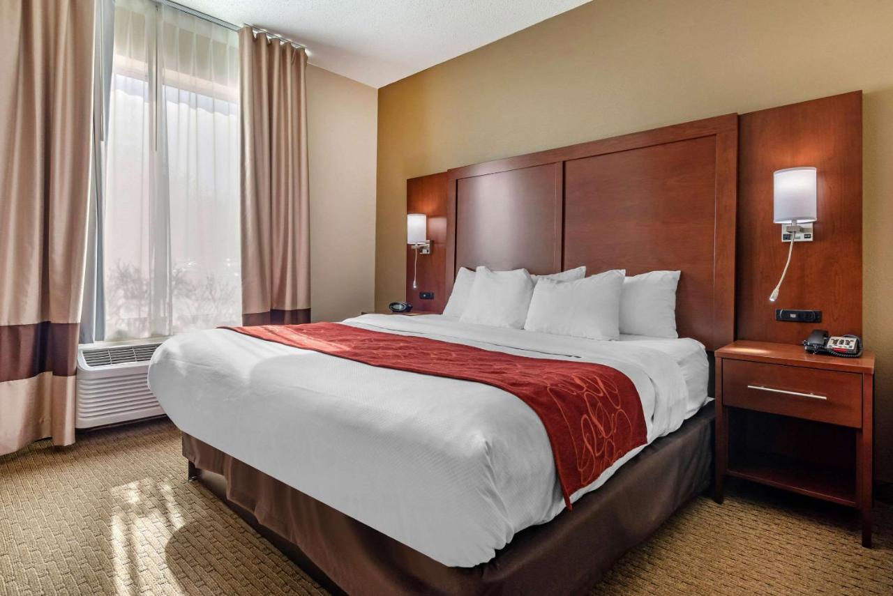 King Suite - Non-Smoking at Comfort Suites Cincinnati Airport