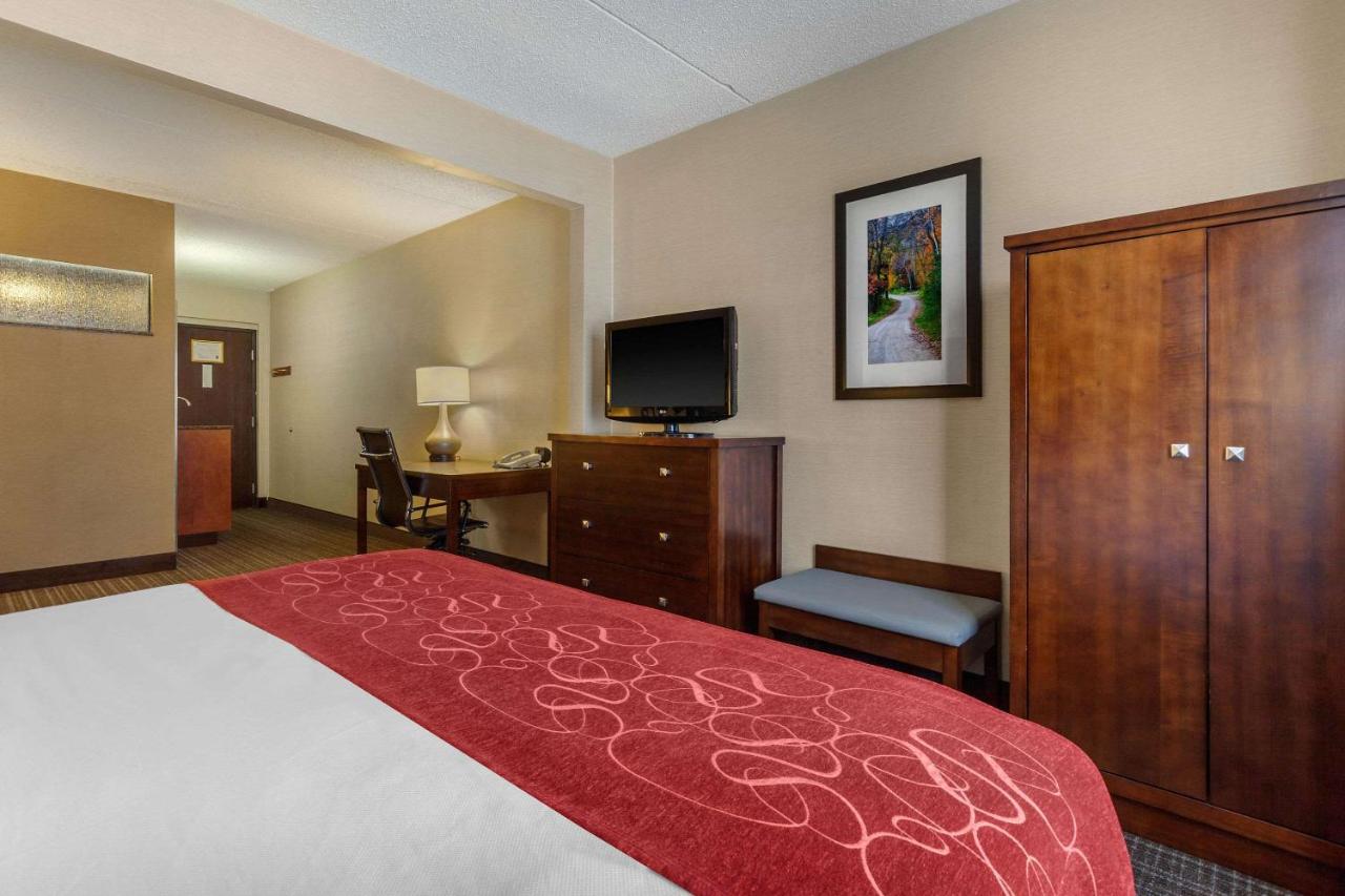 Standard King Suite - Non-Smoking at Comfort Suites Green Bay West