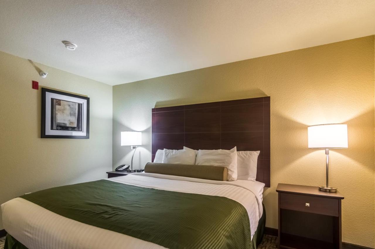 Deluxe King Room at Cobblestone Inn & Suites - Lakin