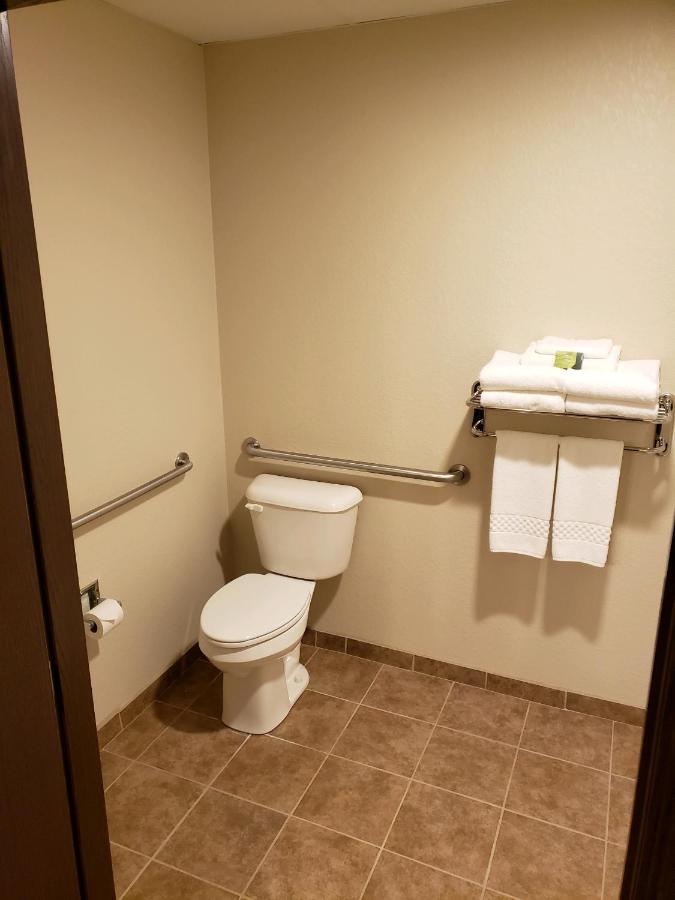 King Room with Roll-In Shower - Disability Access at Cobblestone Inn & Suites - Manning