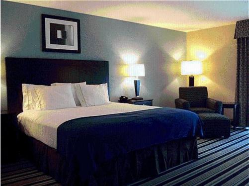Executive King Suite - Non-Smoking at Holiday Inn Express Hotel & Suites, a Baton Rouge-Port Allen by IHG