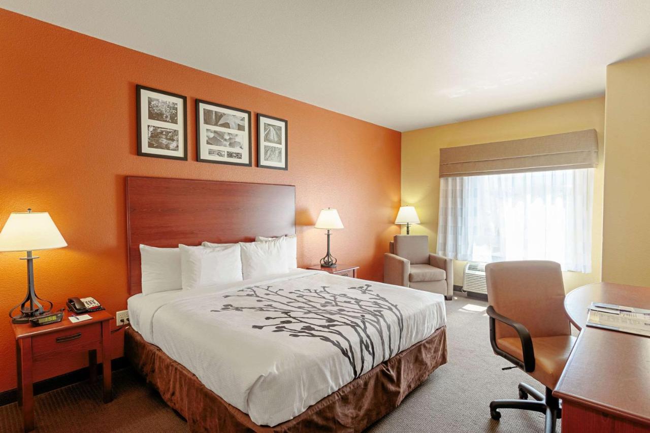 King Room - Non-Smoking at Sleep Inn & Suites Tyler South