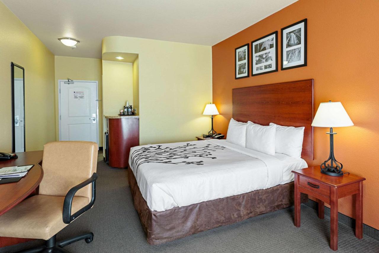 King Room - Non-Smoking at Sleep Inn & Suites Tyler South