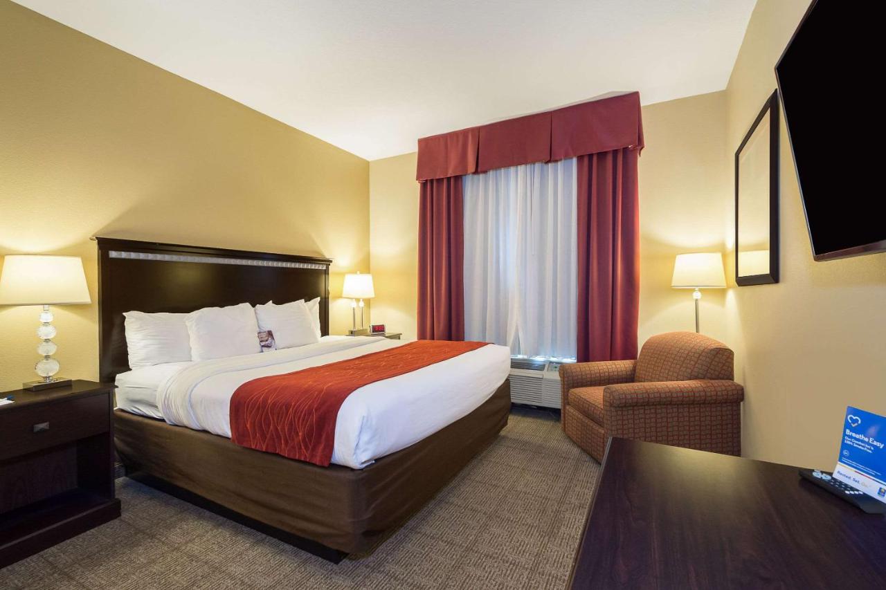 King Suite with Sofa Bed at Comfort Inn & Suites Maingate South