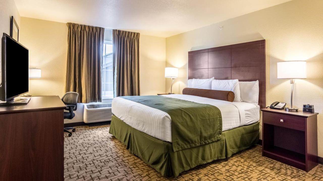 King Studio at Cobblestone Hotel & Suites - Greenville