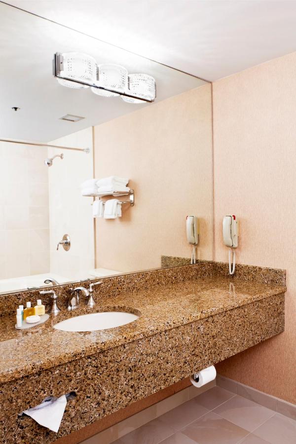 One-Bedroom King Suite with Sofa Bed at Ann Arbor Regent Hotel & Suites