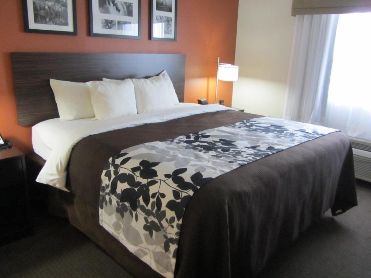 King Room - Non-Smoking at Sleep Inn & Suites Lubbock West