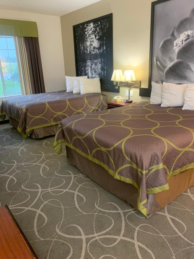 Queen Room with Two Queen Beds - Non-Smoking at Super 8 by Wyndham Hillsboro TX