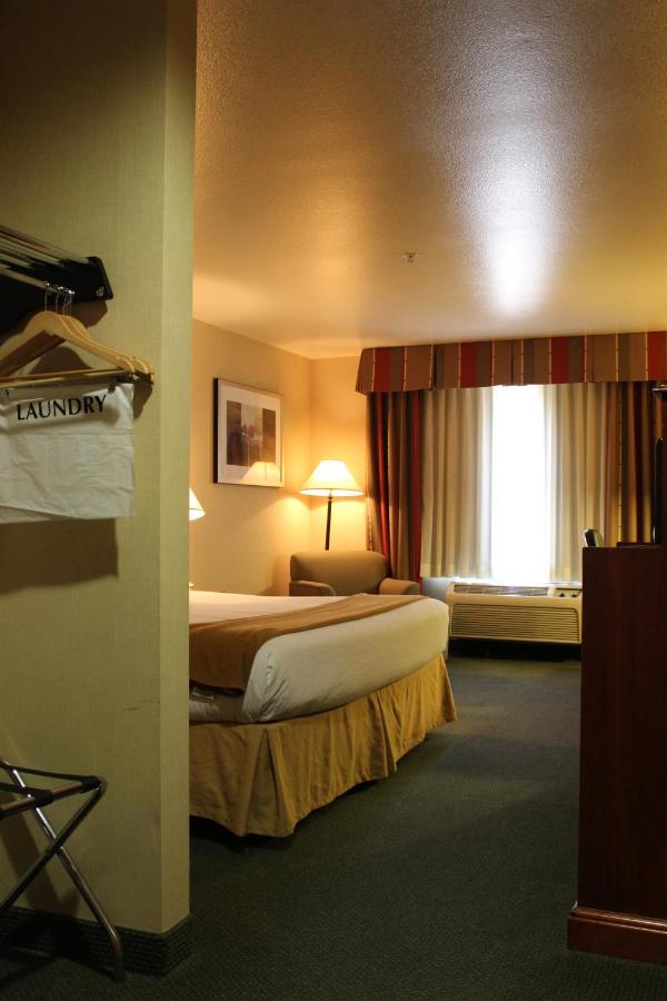 King Room - Non-Smoking at Holiday Inn Express Hotel & Suites Tehachapi by IHG