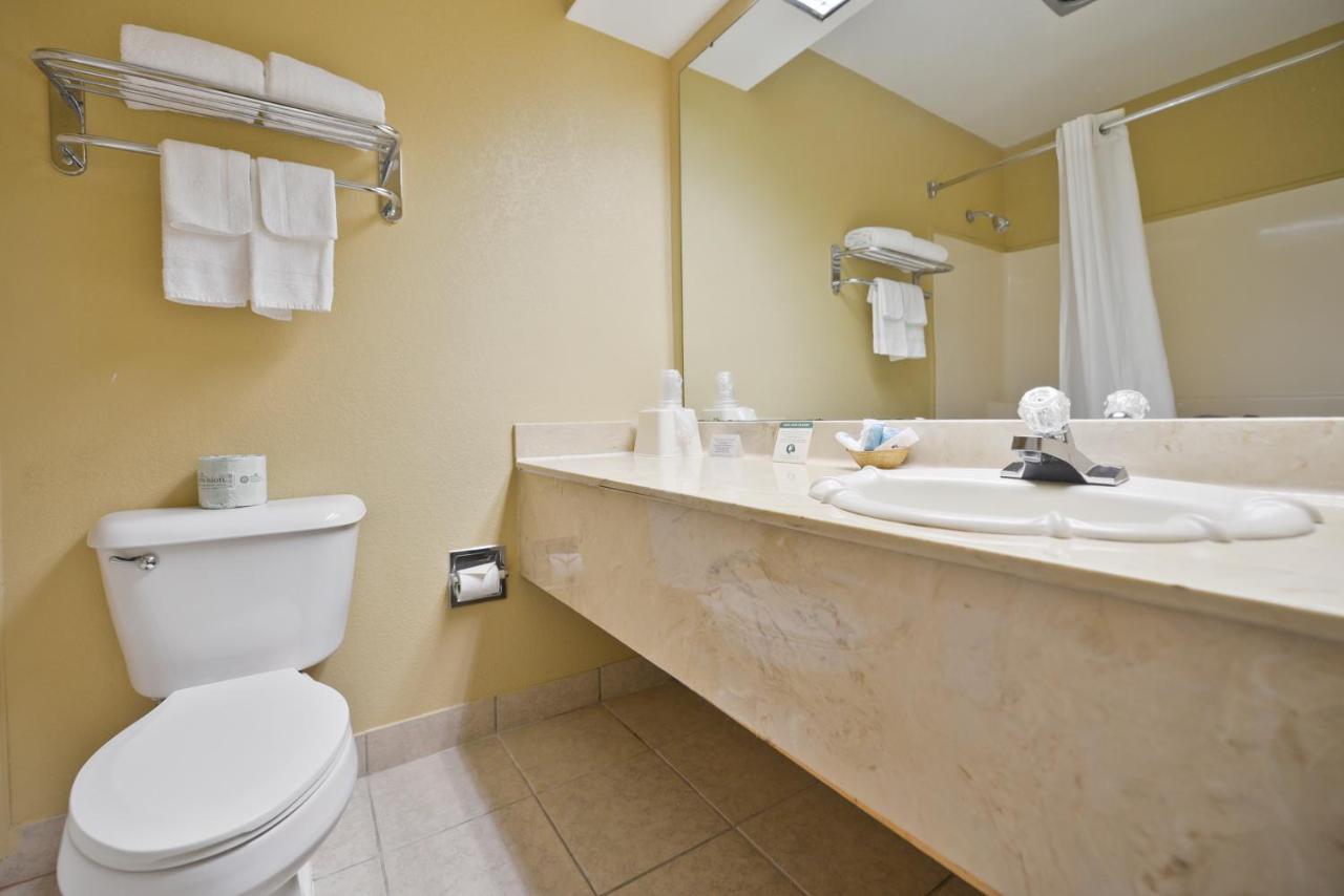 King Room with Bath Tub - Disability Access/Non-Smoking at Best Western Shelbyville Lodge