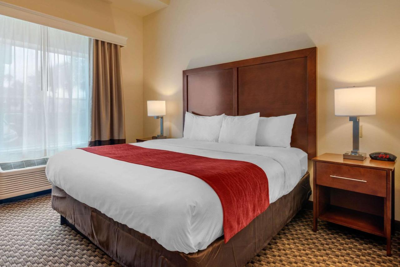 King Suite at Comfort Inn & Suites Fort Myers Airport