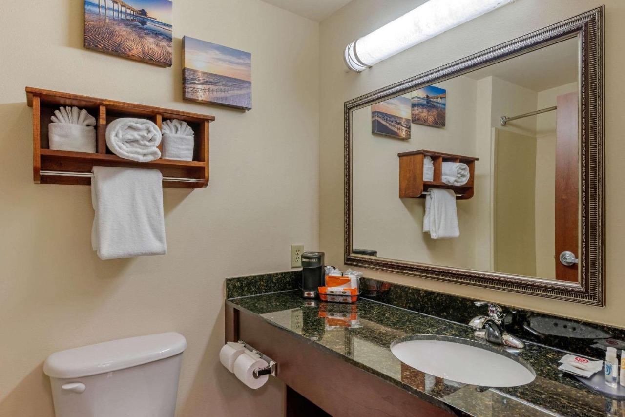 Standard King Room at Comfort Inn & Suites Fort Myers Airport