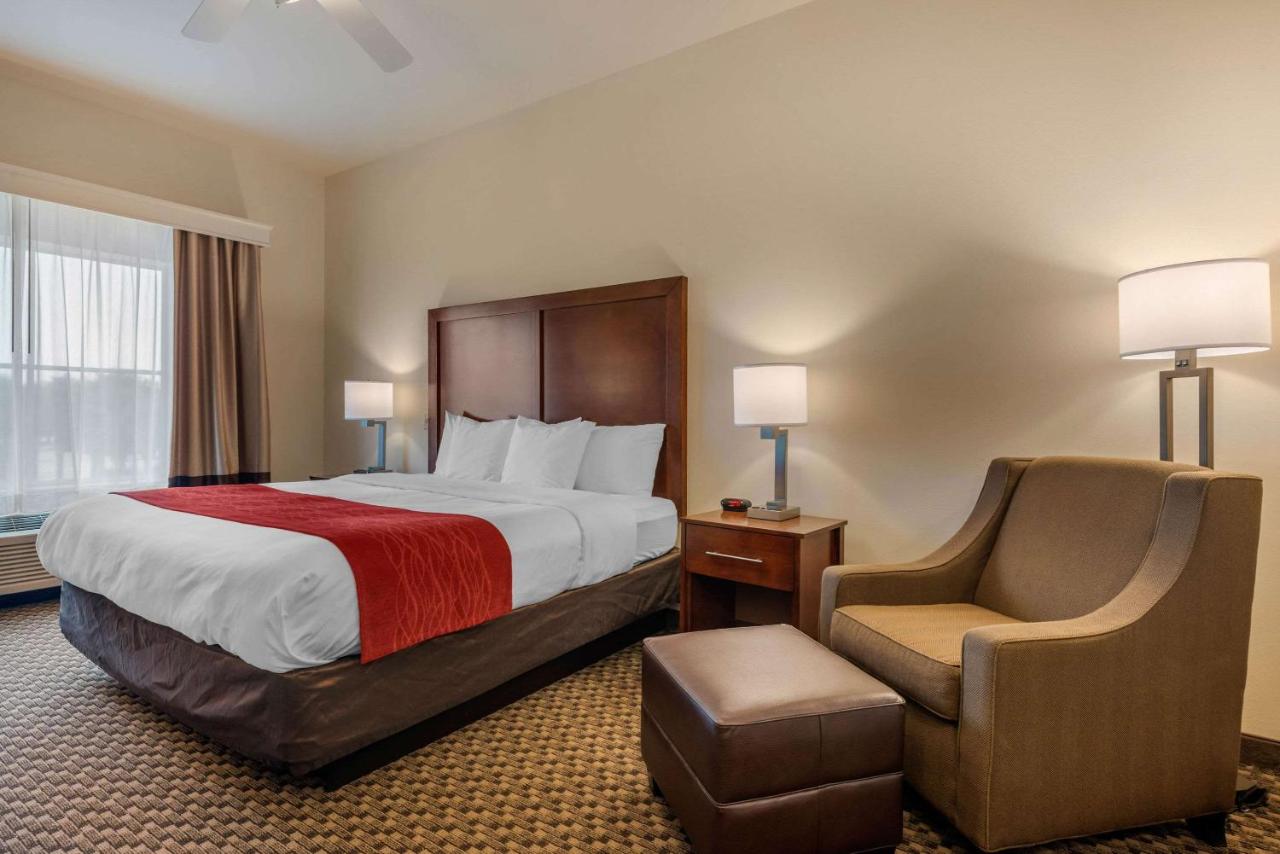 Standard King Room at Comfort Inn & Suites Fort Myers Airport