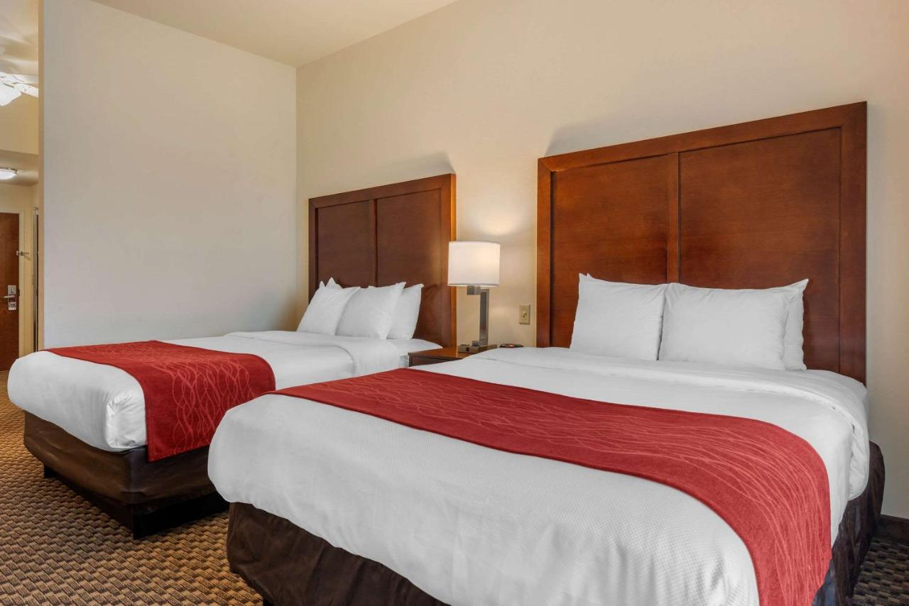 Queen Suite at Comfort Inn & Suites Fort Myers Airport