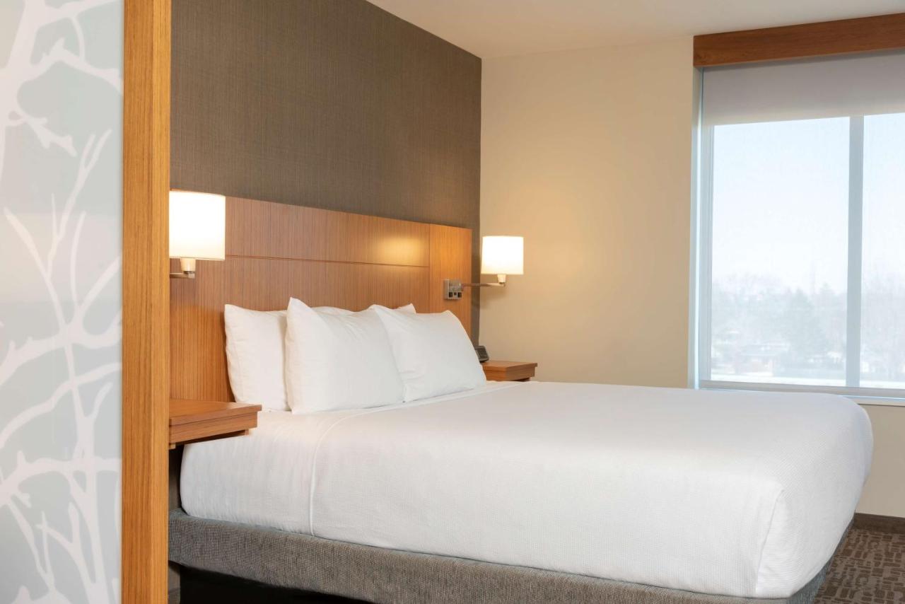King Room - Disability Access at Hyatt Place Detroit Royal Oak