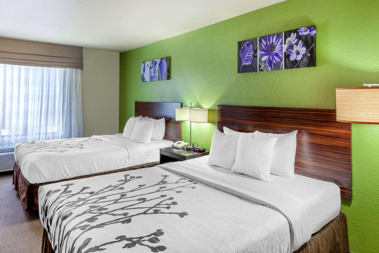 Queen Suite with Sofa Bed at Sleep Inn & Suites Hewitt - South Waco