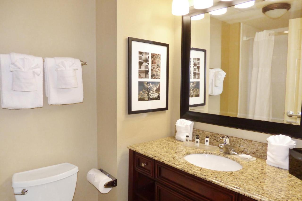 King Studio with Sofa Bed - Disability Access/Non-Smoking at Country Inn & Suites by Radisson, Port Orange-Daytona, FL