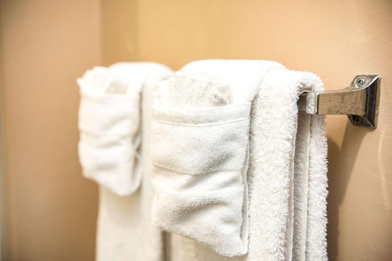 Double Room with Two Double Beds - Non-Smoking at Suburban Studios Charlotte-Ballantyne