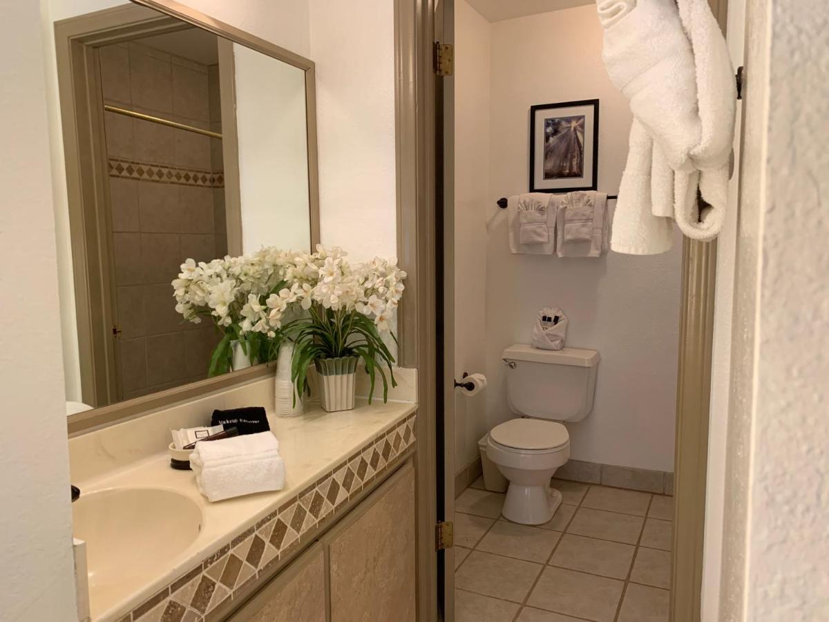 Budget Double Room - Pet Friendly at The North Shore Inn
