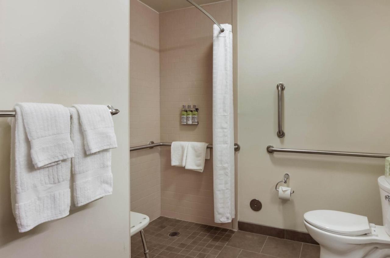 Queen Studio Suite - Mobility Acces Roll in Shower/Non-Smoking at Candlewood Suites Brighton, an IHG Hotel